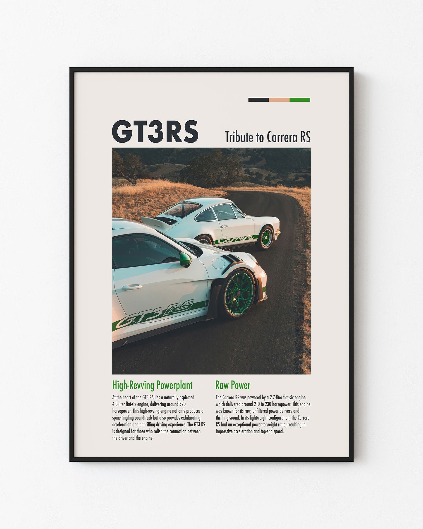PORSCHE GT3RS TRIBUTE TO CARRERA RS