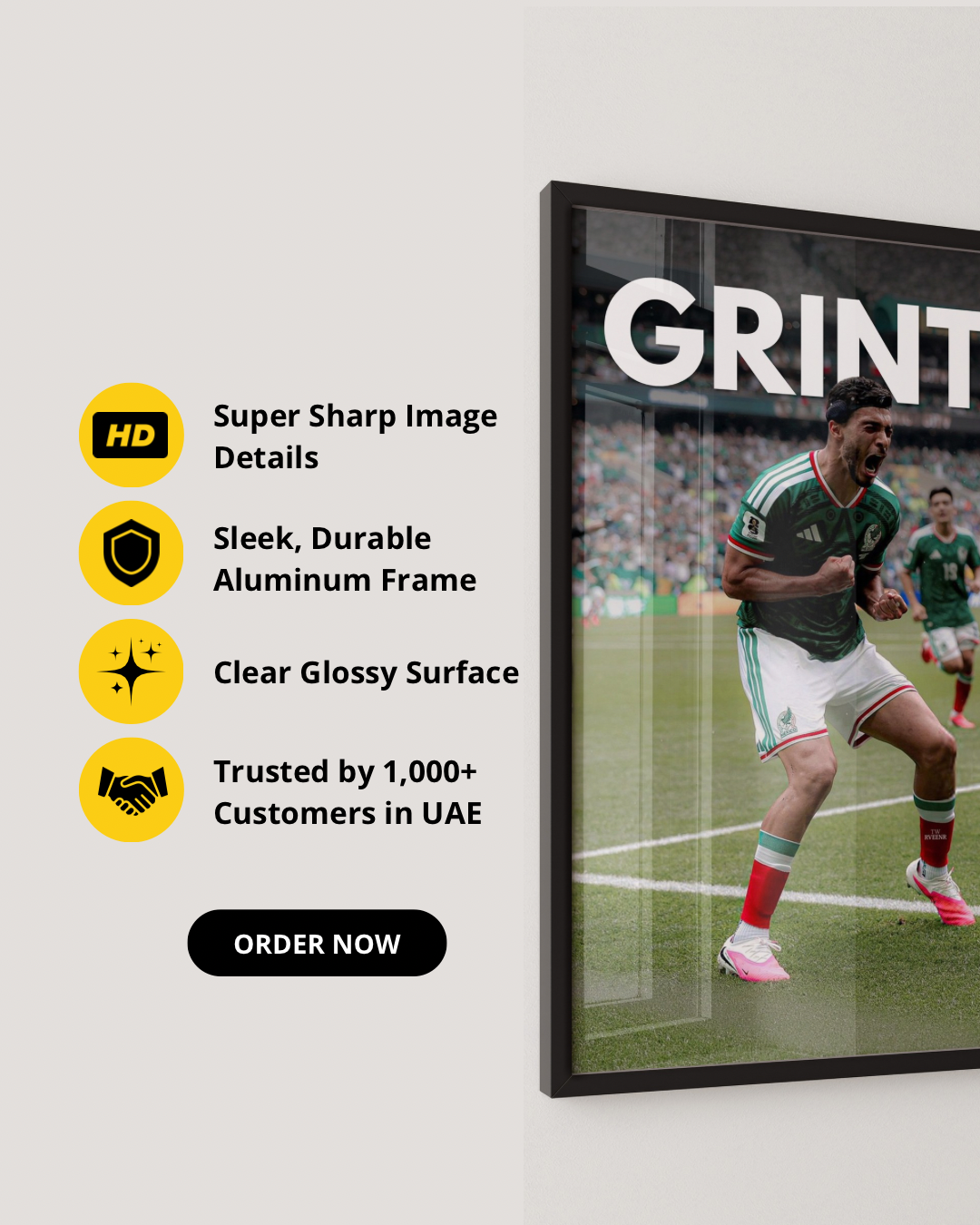 RAUL JIMÉNEZ MEXICO - GRINTA