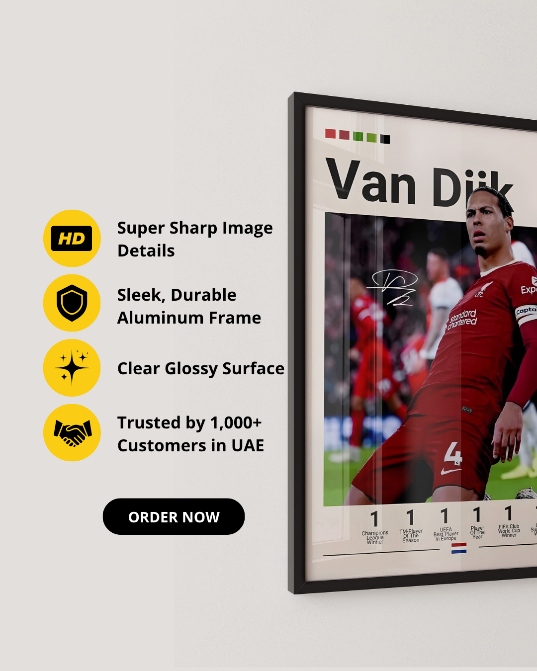 VIRGIL VAN DIJK - LIVERPOOL