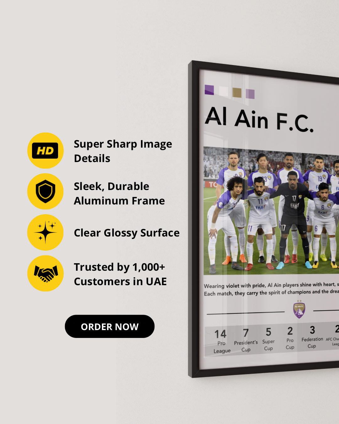 AL AIN FC PLAYERS