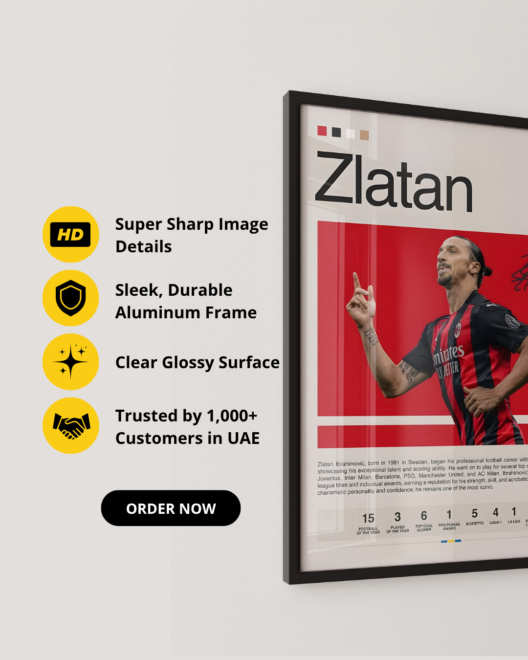 ZLATAN IBRAHIMOVIĆ - AC MILAN