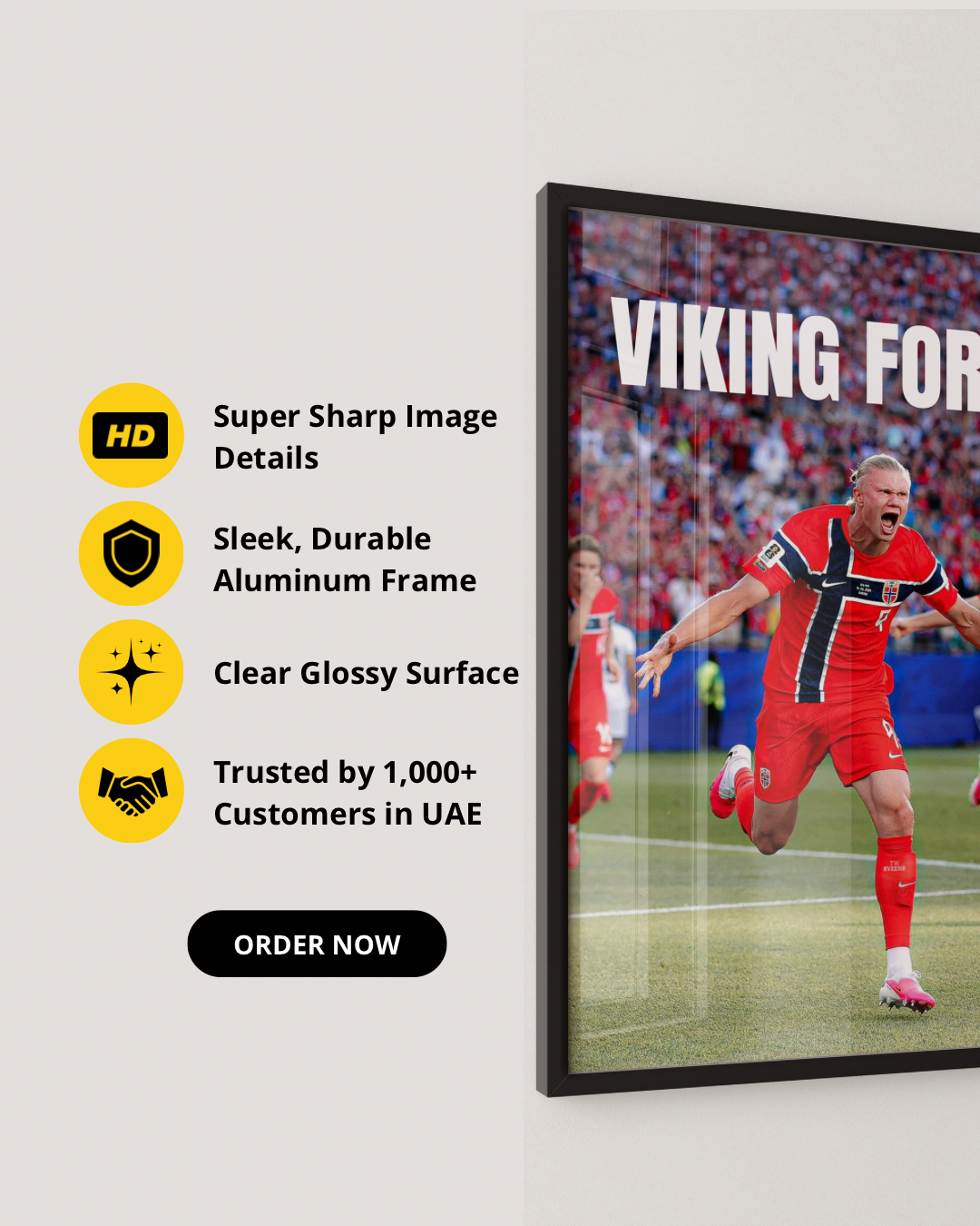 ERLING HALAND - VIKING FORCE