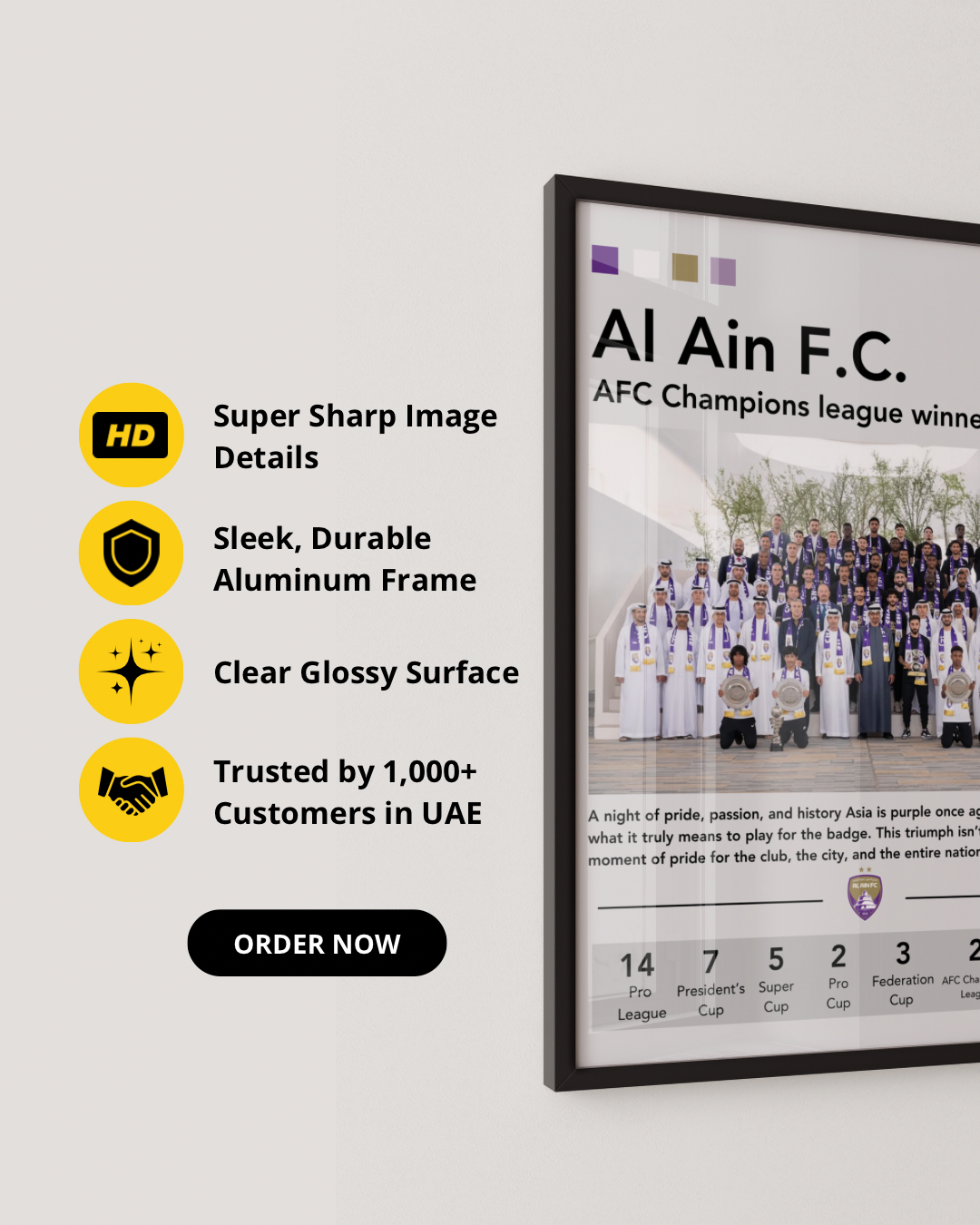 AFC CHAMPIONS LEAGUE - AL AIN