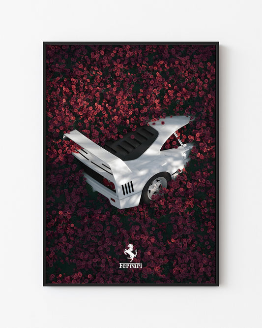 FERRARI - FLOWERS FEILD