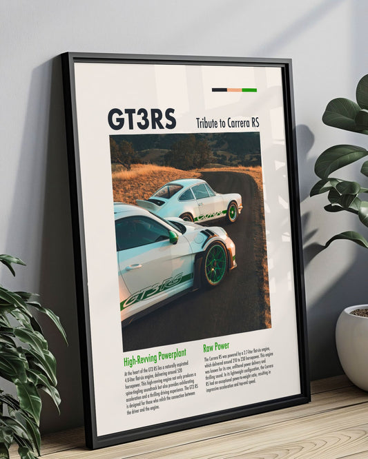 PORSCHE GT3RS TRIBUTE TO CARRERA RS