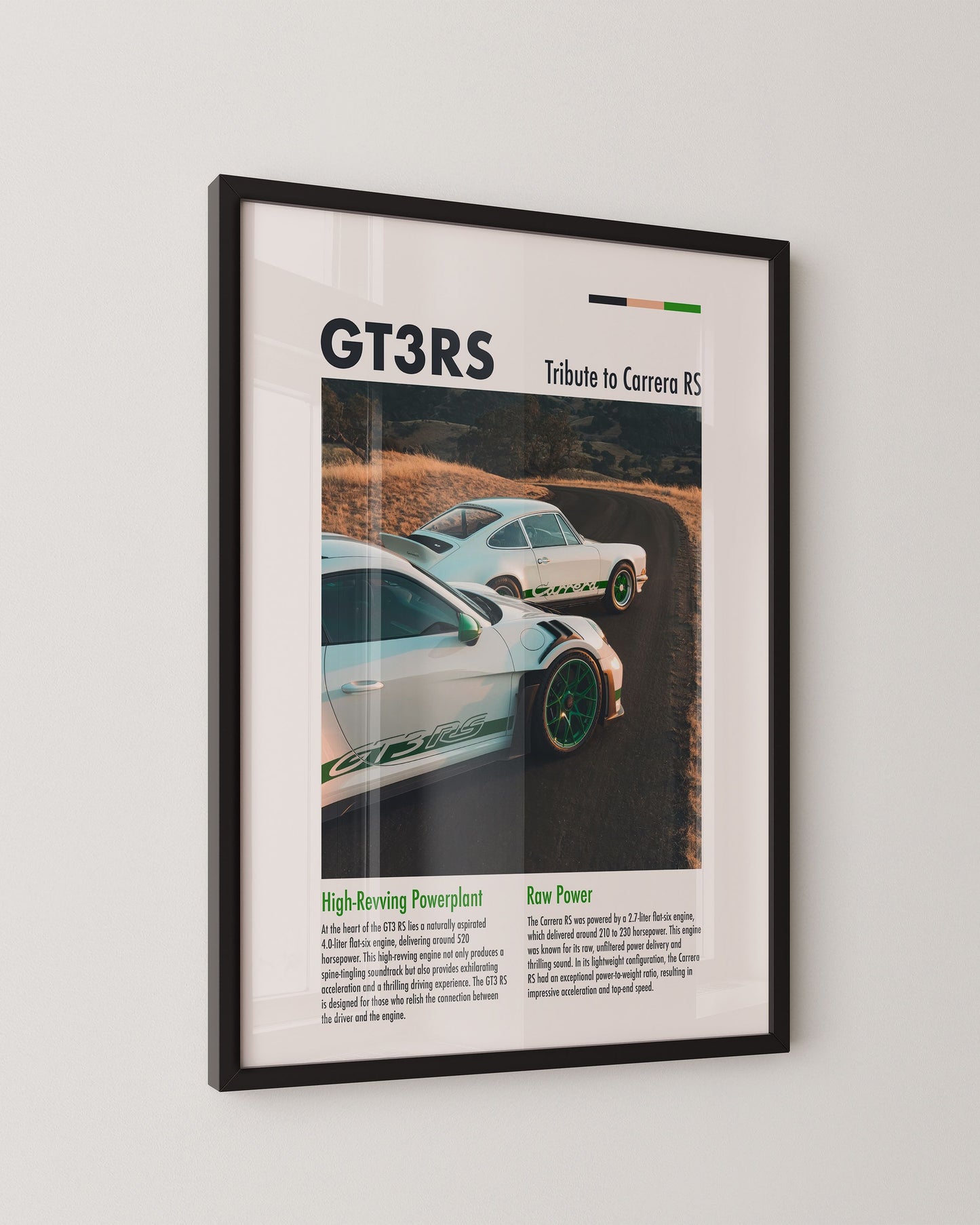 PORSCHE GT3RS TRIBUTE TO CARRERA RS