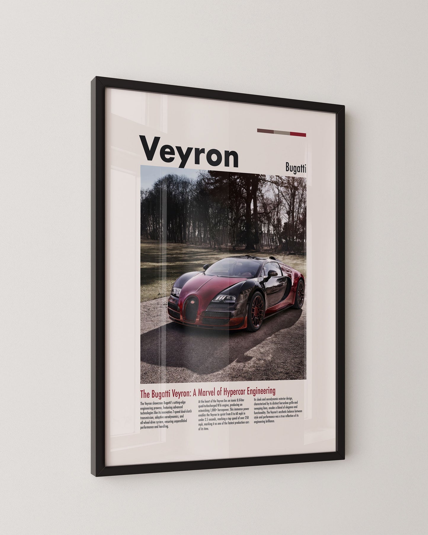 BUGATTI VEYRON